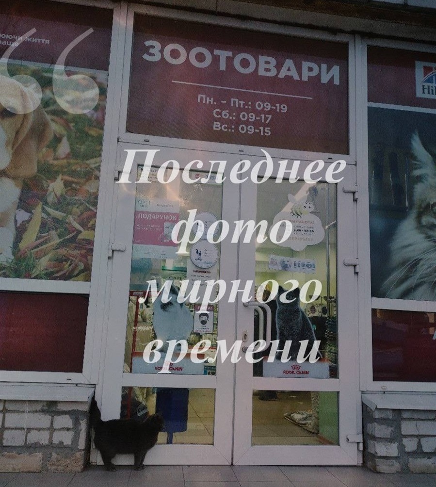 "Постоянный покупатель". Последнее фото мирного времени. Вообще ничего не знал, о том, что начнётся война. Да и в семье никто не знал и не ожидал. Жили обычной жизнью, ходили на работу, а сейчас живём в оккупации. Выезжать нет возможности, да и некуда. Очень ждём освобождения.