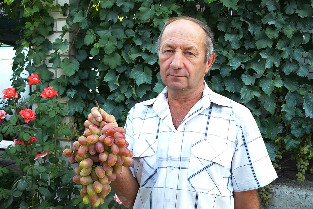 И.Г. Колесниченко