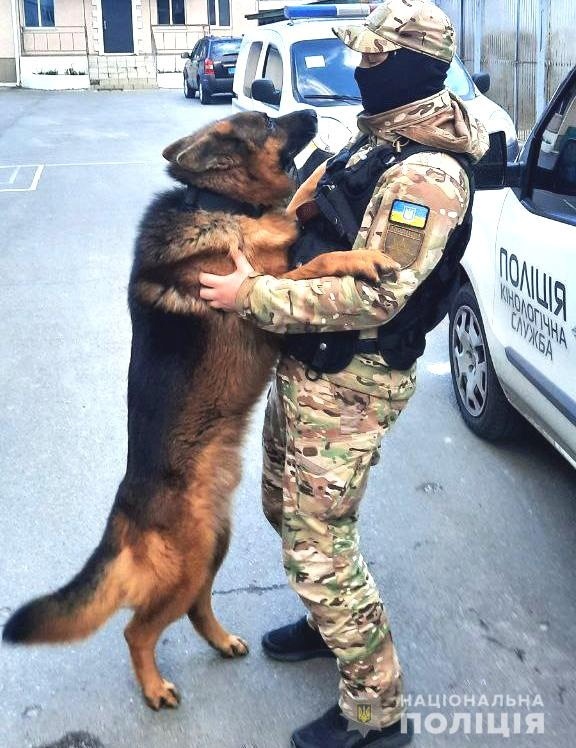 Чотирилапий поліцейський з кінологом
