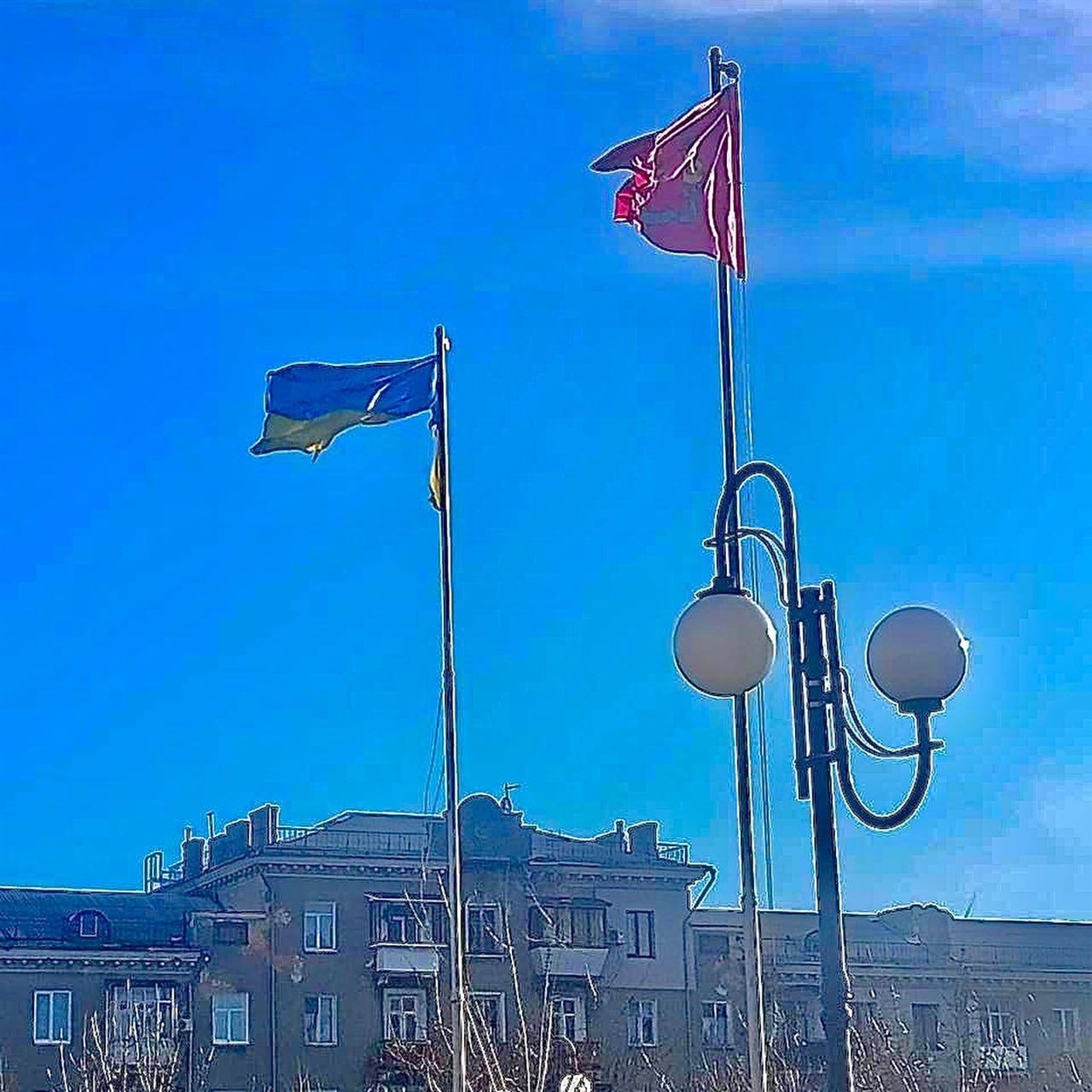 Та сама світлина, через яку Алі запроторили за ґрати