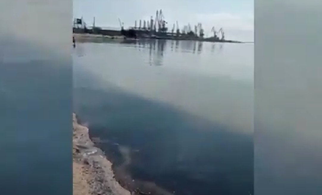 Нафтова пляма у заливі в районі Лісок