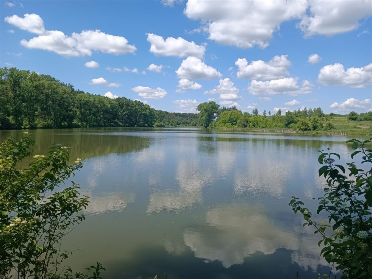 Краєвид біля села Тютьків