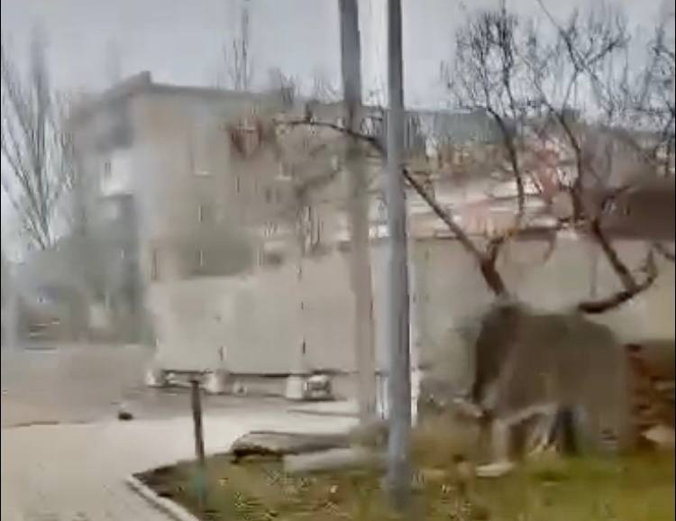 Рашисти будують високий паркан біля будівлі військомату в окупованому Бердянську