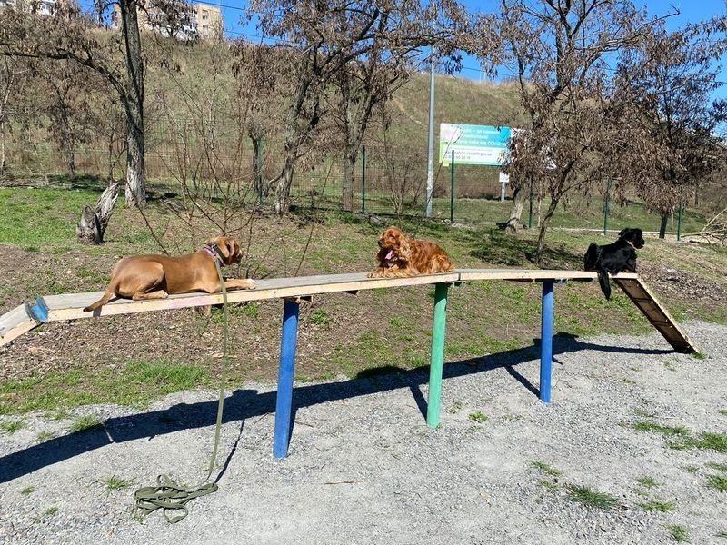 Тренування на бердянському майданчику