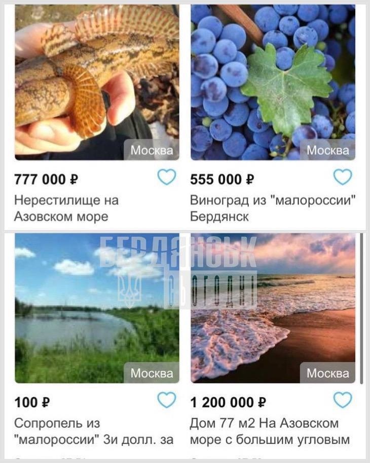 Інші пропозиції ділка
